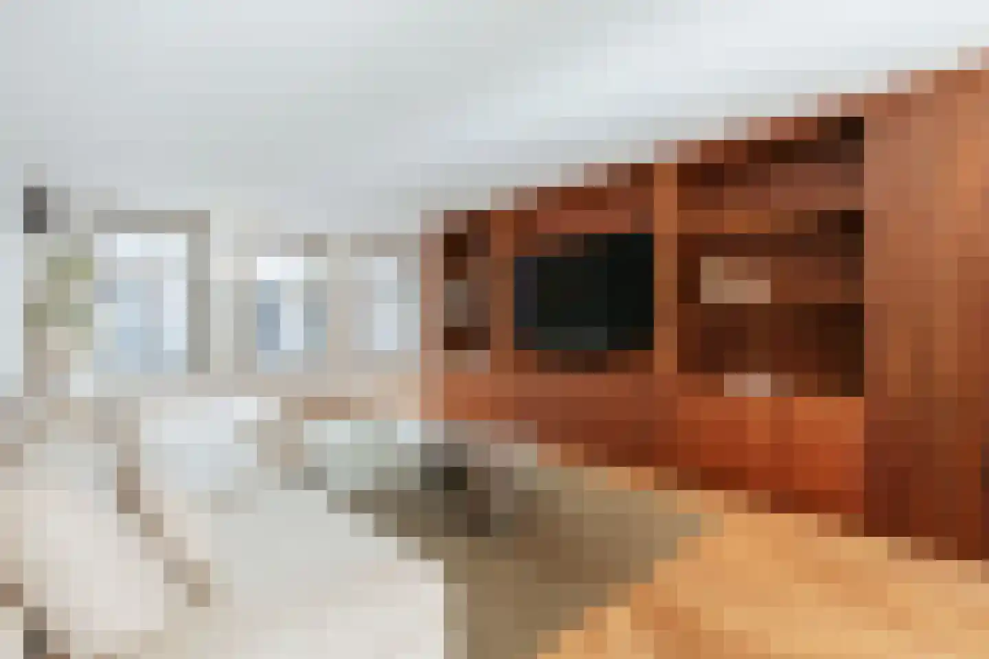 Tuinstraat 117 1 Amsterdam thumbnail 4