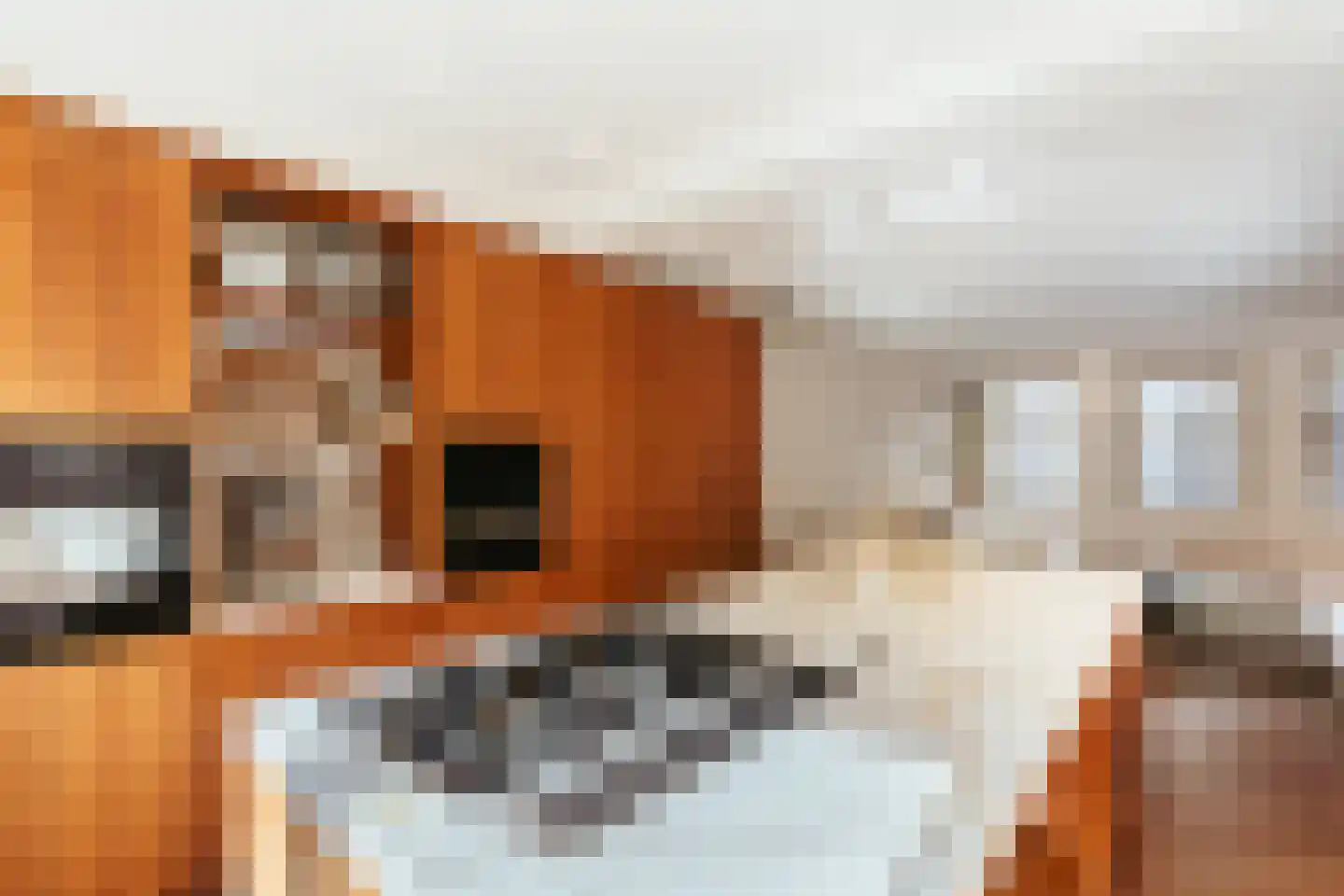 Tuinstraat 117 1 Amsterdam thumbnail 9