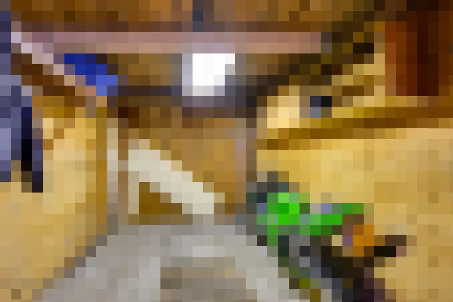 Tuinstraat 119 Krimpen aan den IJssel thumbnail 33