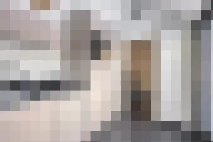 Tuinstraat 12 Herten thumbnail 11