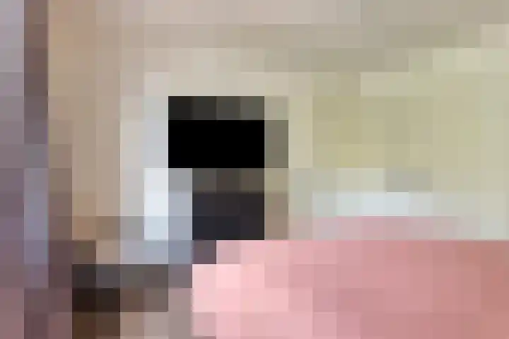 Tuinstraat 12 Herten thumbnail 18