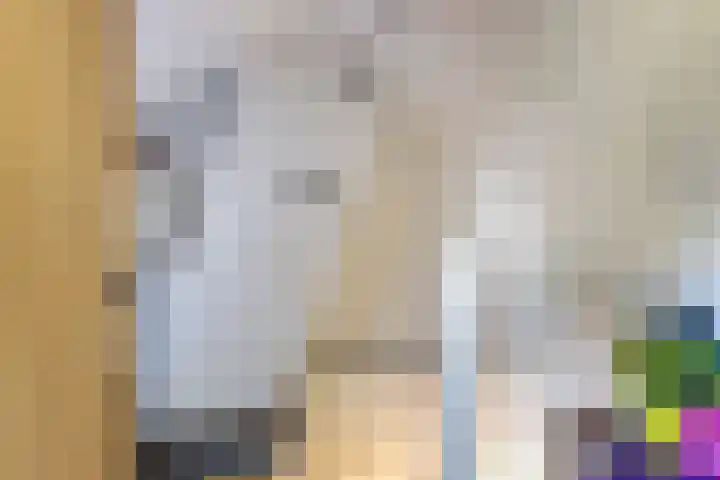 Tuinstraat 12 Herten thumbnail 26