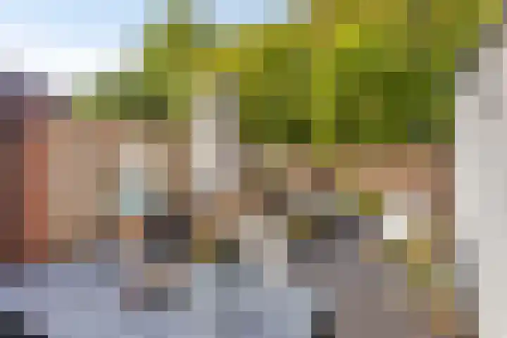 Tuinstraat 12 Herten thumbnail 27