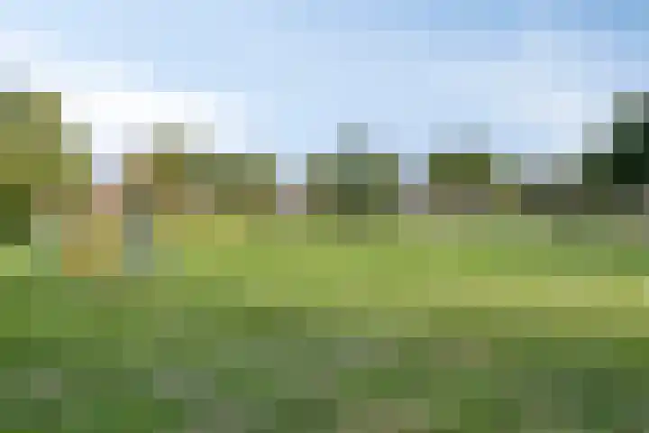 Tuinstraat 12 Herten thumbnail 35