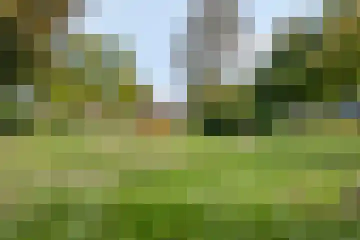 Tuinstraat 12 Herten thumbnail 36