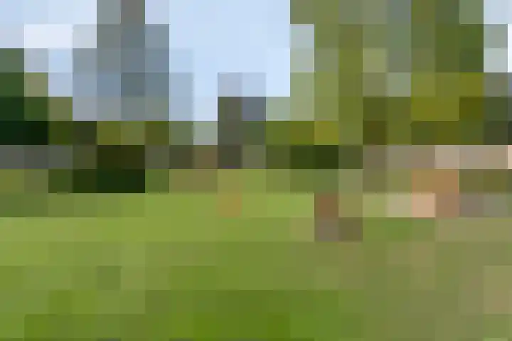 Tuinstraat 12 Herten thumbnail 37