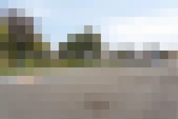 Tuinstraat 12 Herten thumbnail 38