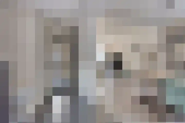 Tuinstraat 12 Herten thumbnail 7