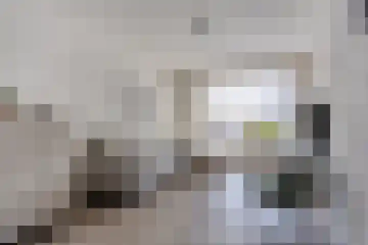 Tuinstraat 12 Herten thumbnail 8