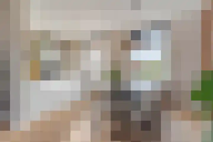 Tuinstraat 13 Boskoop thumbnail 14