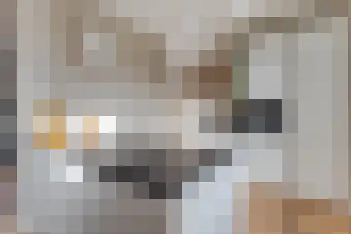 Tuinstraat 13 Boskoop thumbnail 16