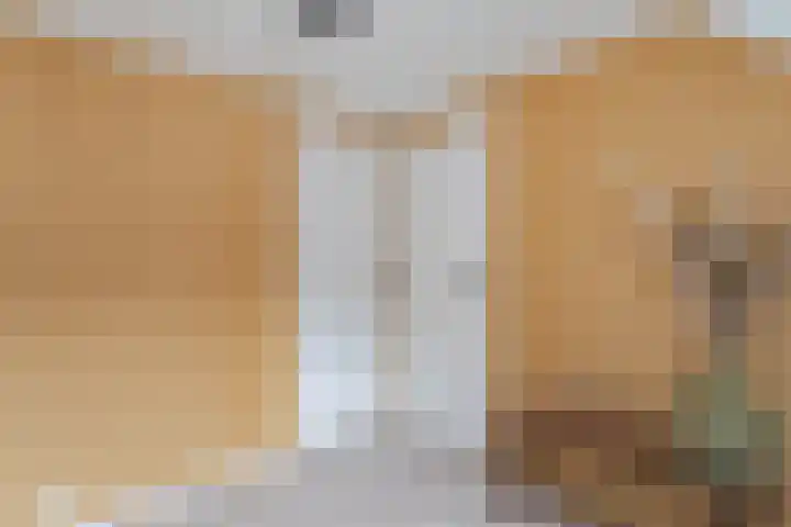 Tuinstraat 13 Boskoop thumbnail 28
