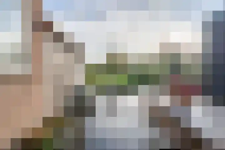 Tuinstraat 13 Boskoop thumbnail 4