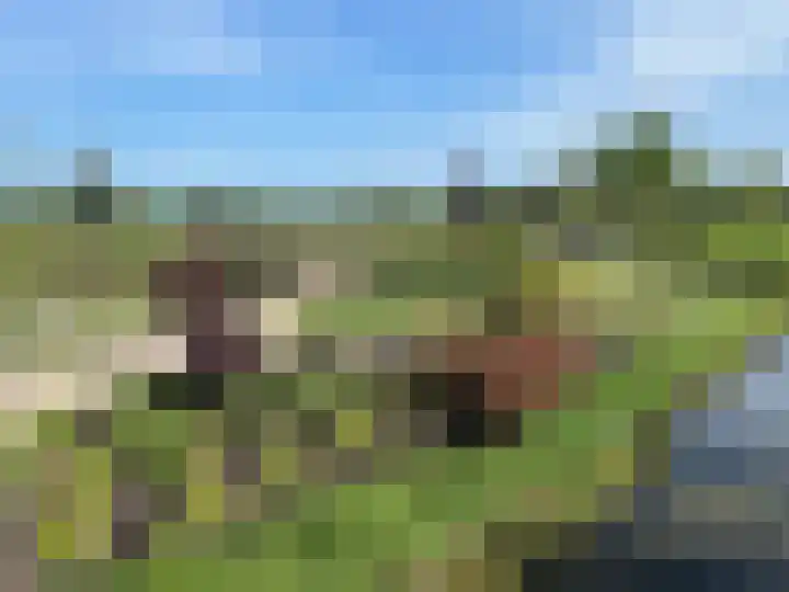 Tuinstraat 13 Boskoop thumbnail 40