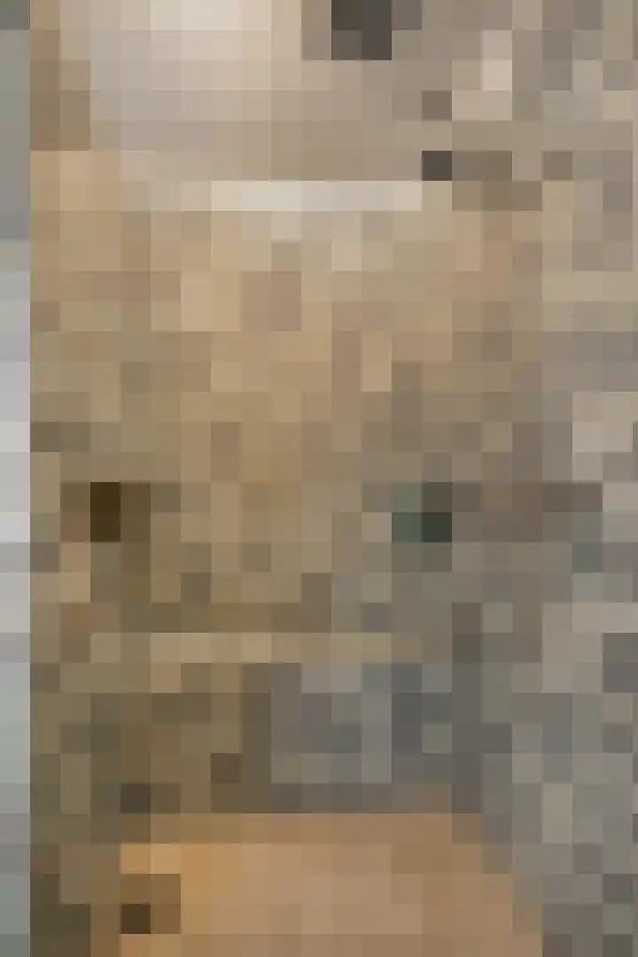 Tuinstraat 13 C Den Dungen thumbnail 19