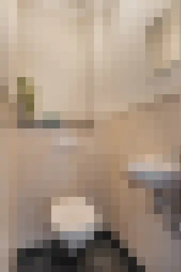 Tuinstraat 13 C Den Dungen thumbnail 20