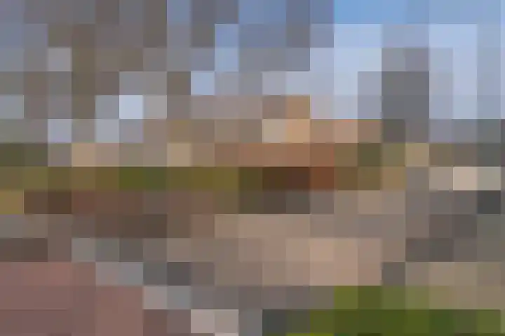 Tuinstraat 13 C Den Dungen thumbnail 31