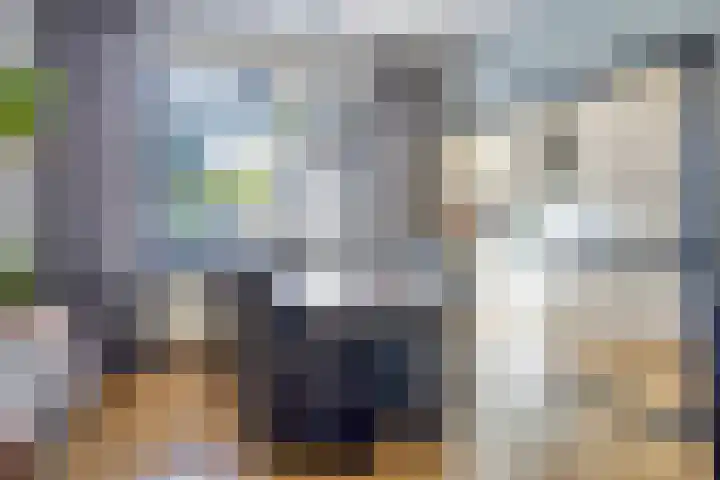 Tuinstraat 13 Terneuzen thumbnail 11