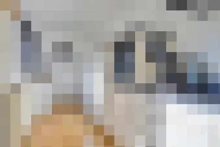 Tuinstraat 13 Terneuzen thumbnail 16