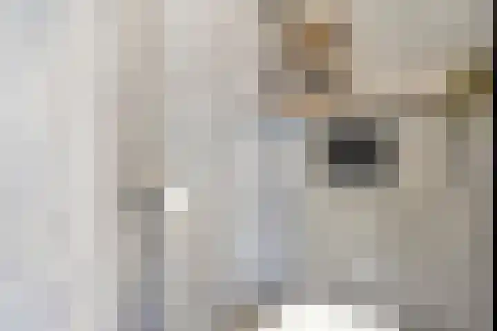 Tuinstraat 13 Terneuzen thumbnail 7