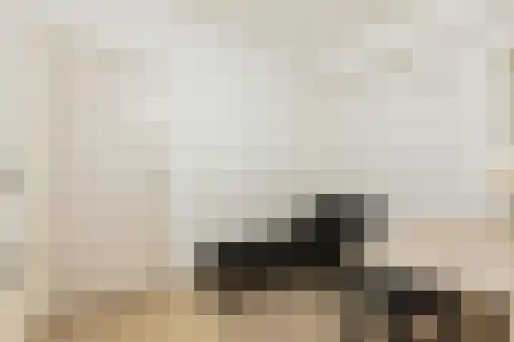 Tuinstraat 14 Groningen thumbnail 10