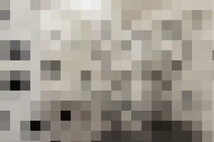 Tuinstraat 14 Groningen thumbnail 12