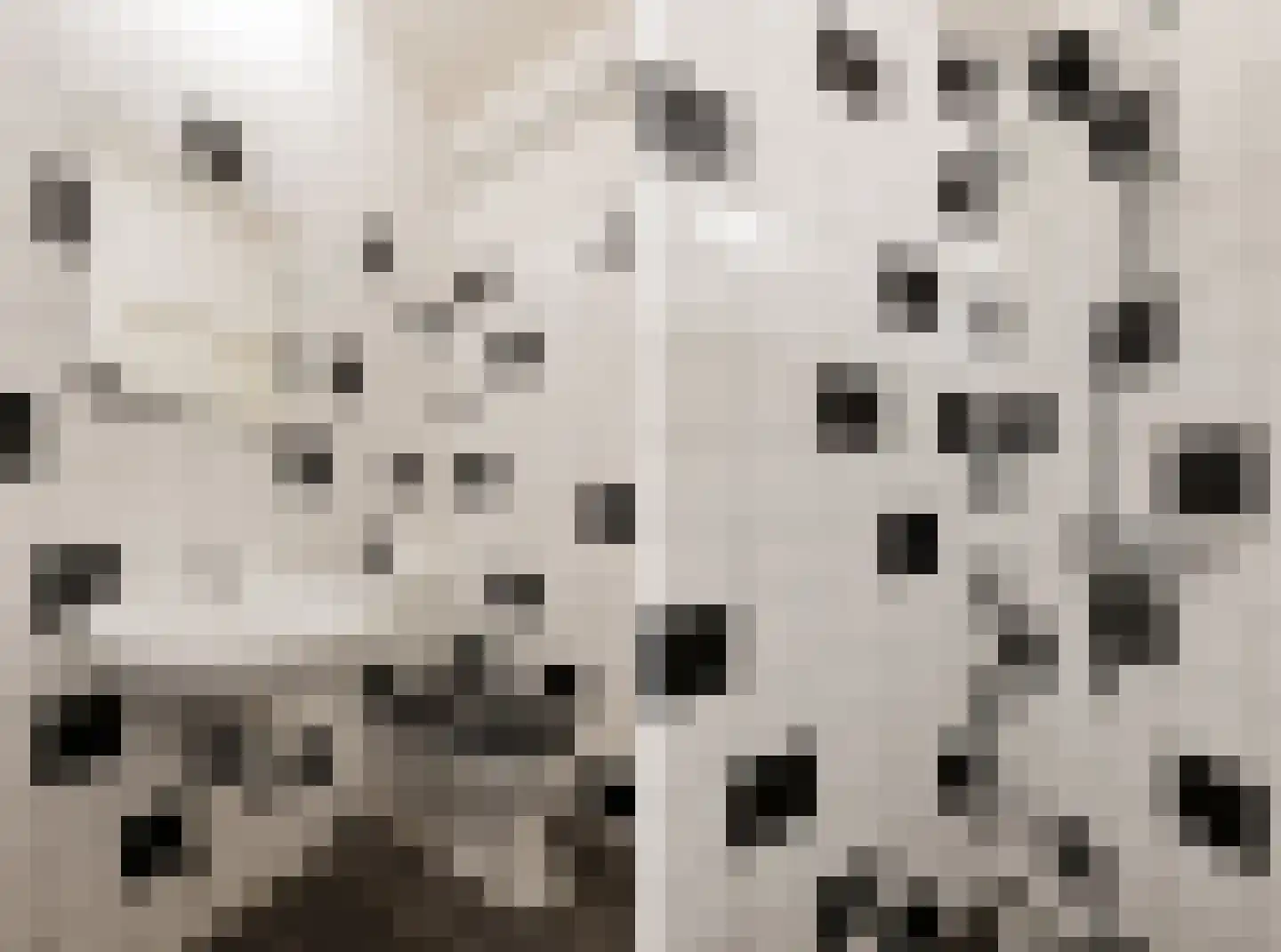 Tuinstraat 14 Groningen thumbnail 20
