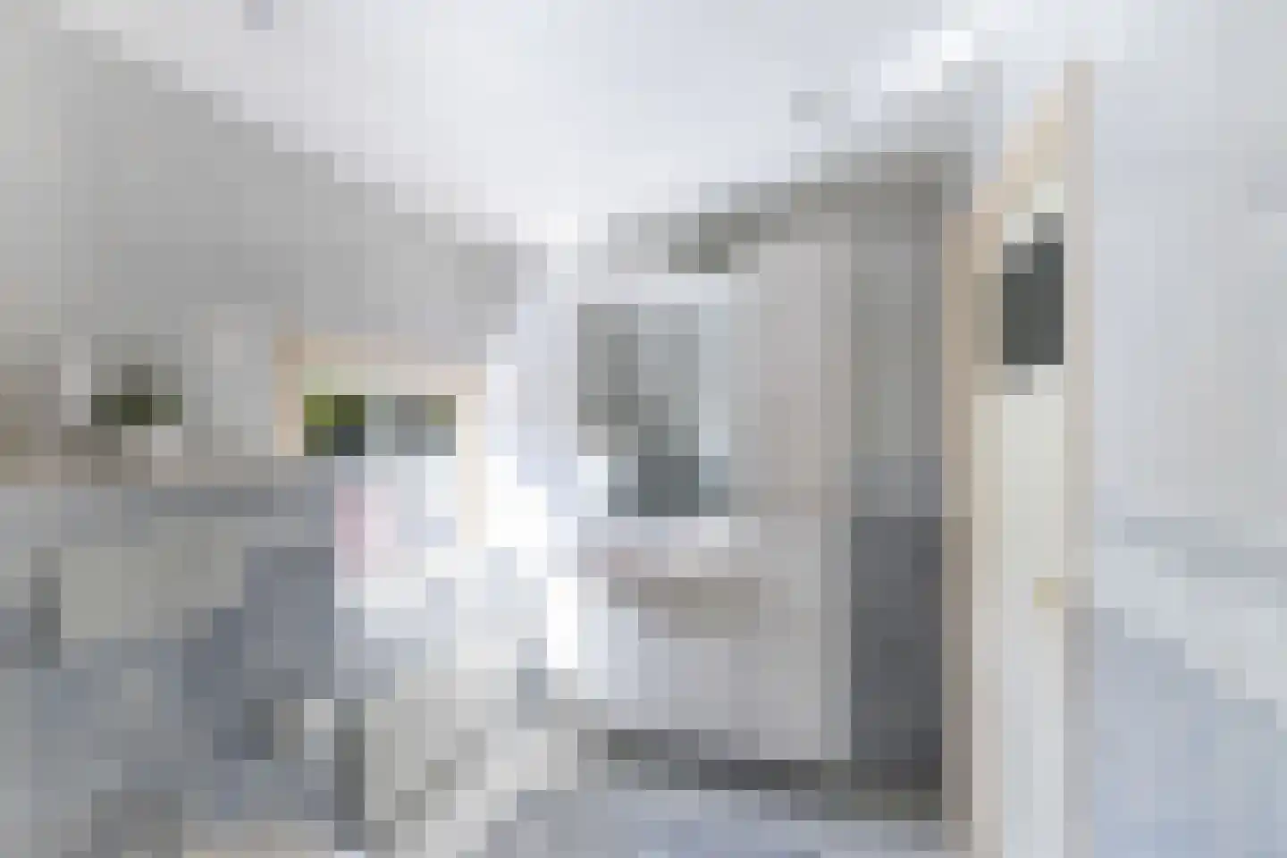 Tuinstraat 14 Krimpen aan den IJssel thumbnail 26