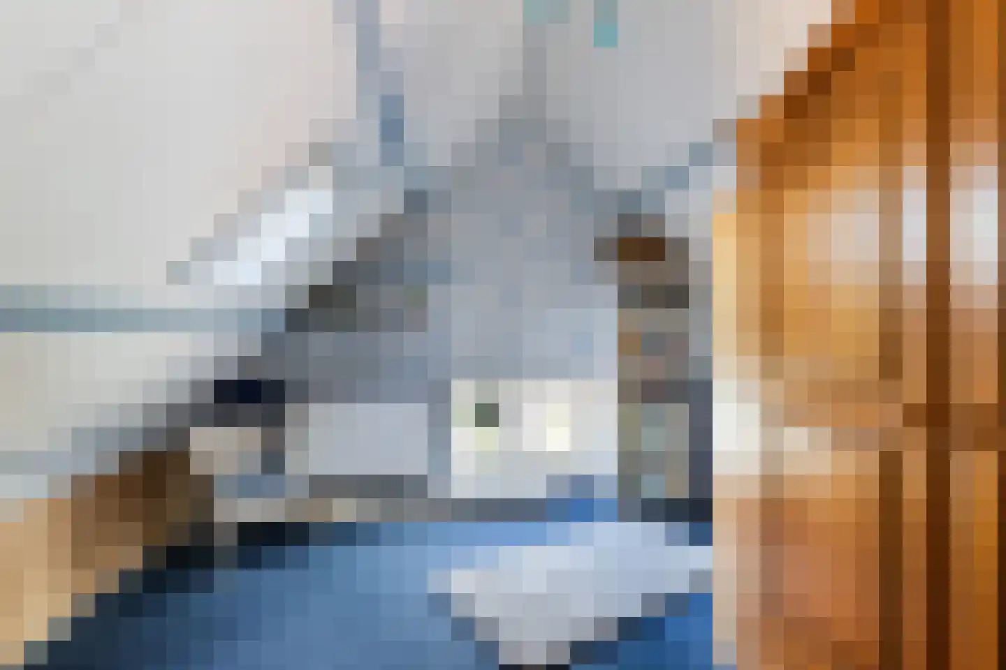 Tuinstraat 14 Krimpen aan den IJssel thumbnail 29