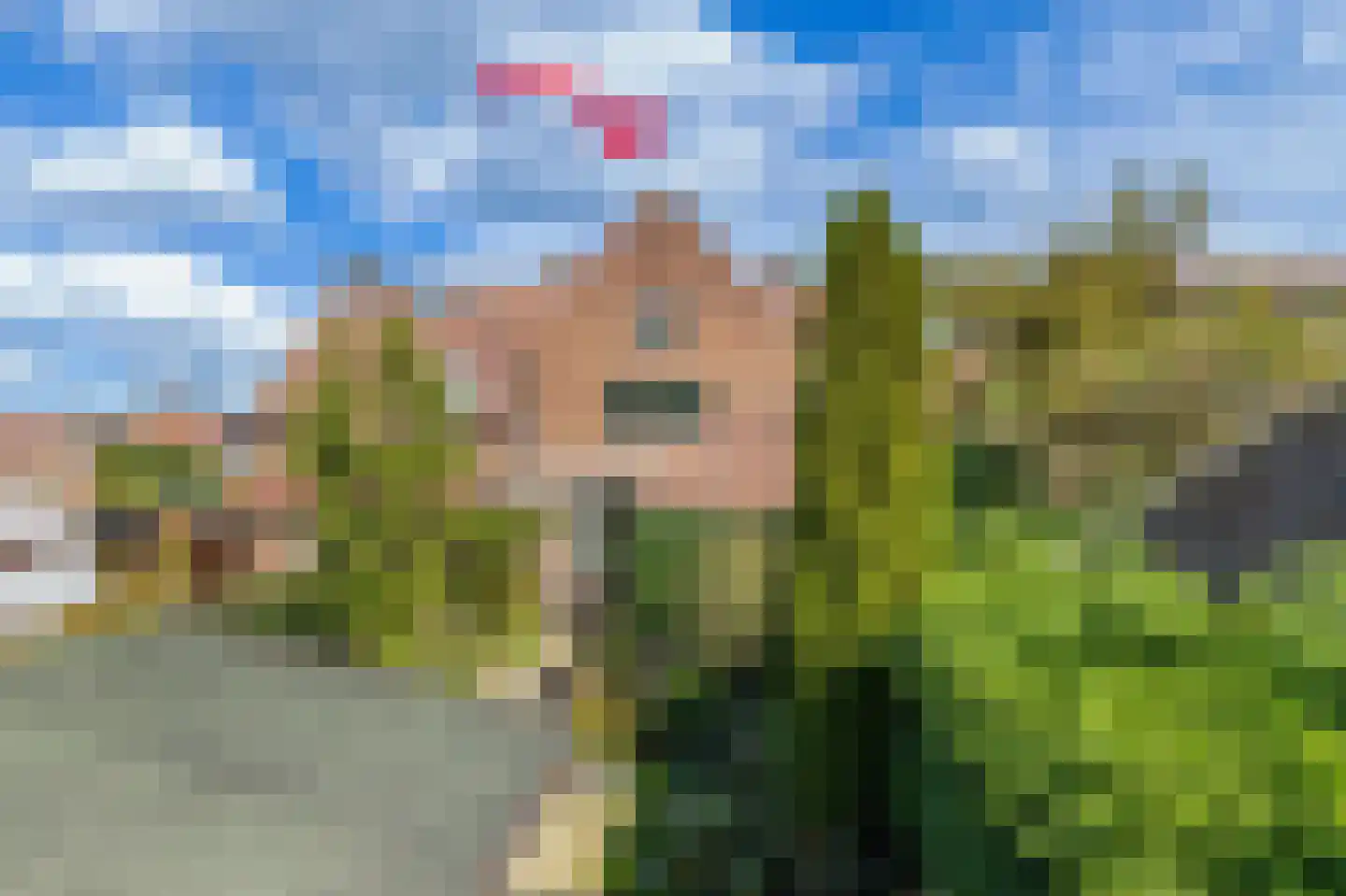 Tuinstraat 14 Krimpen aan den IJssel foto 3