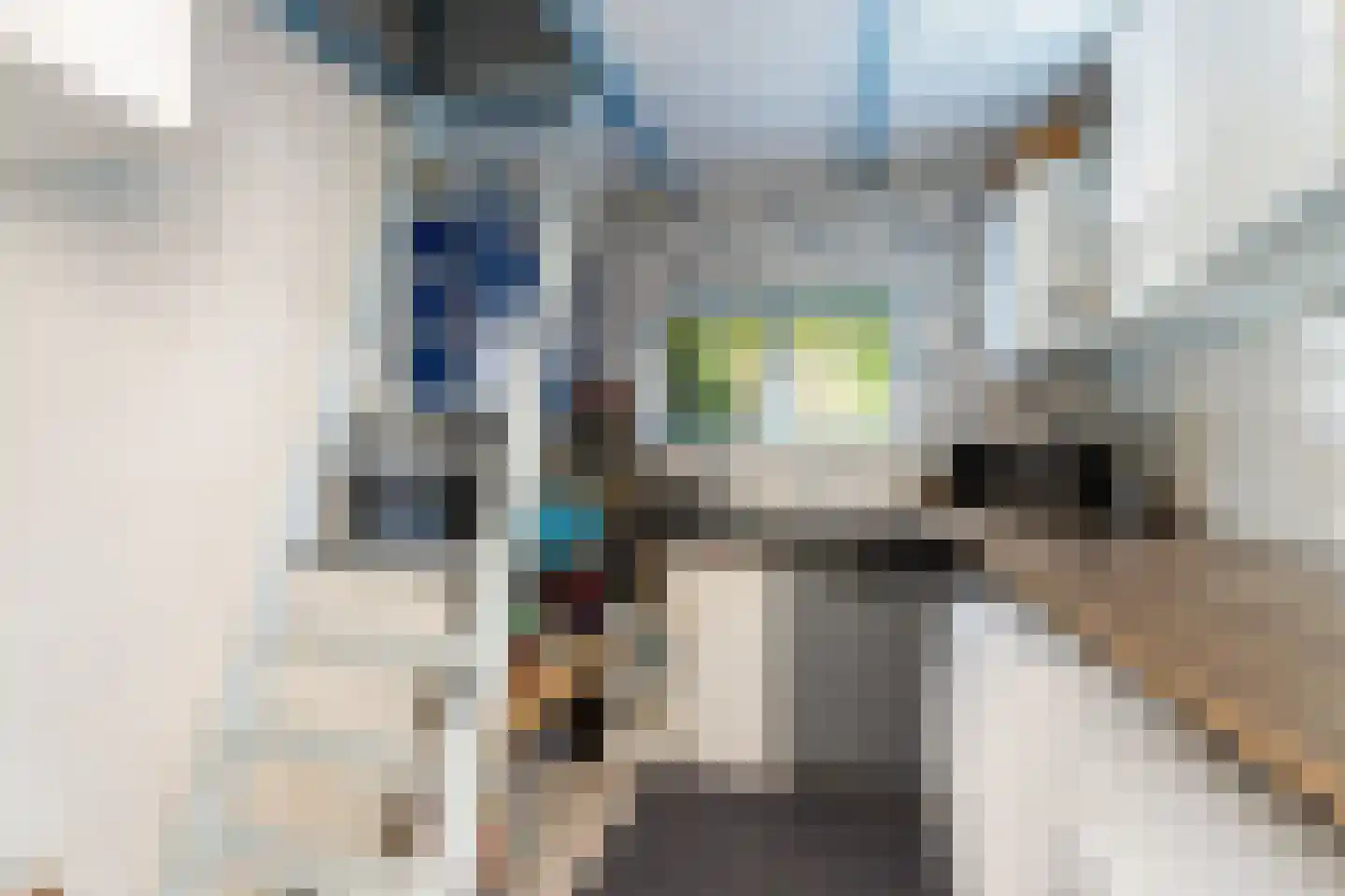 Tuinstraat 14 Krimpen aan den IJssel thumbnail 31