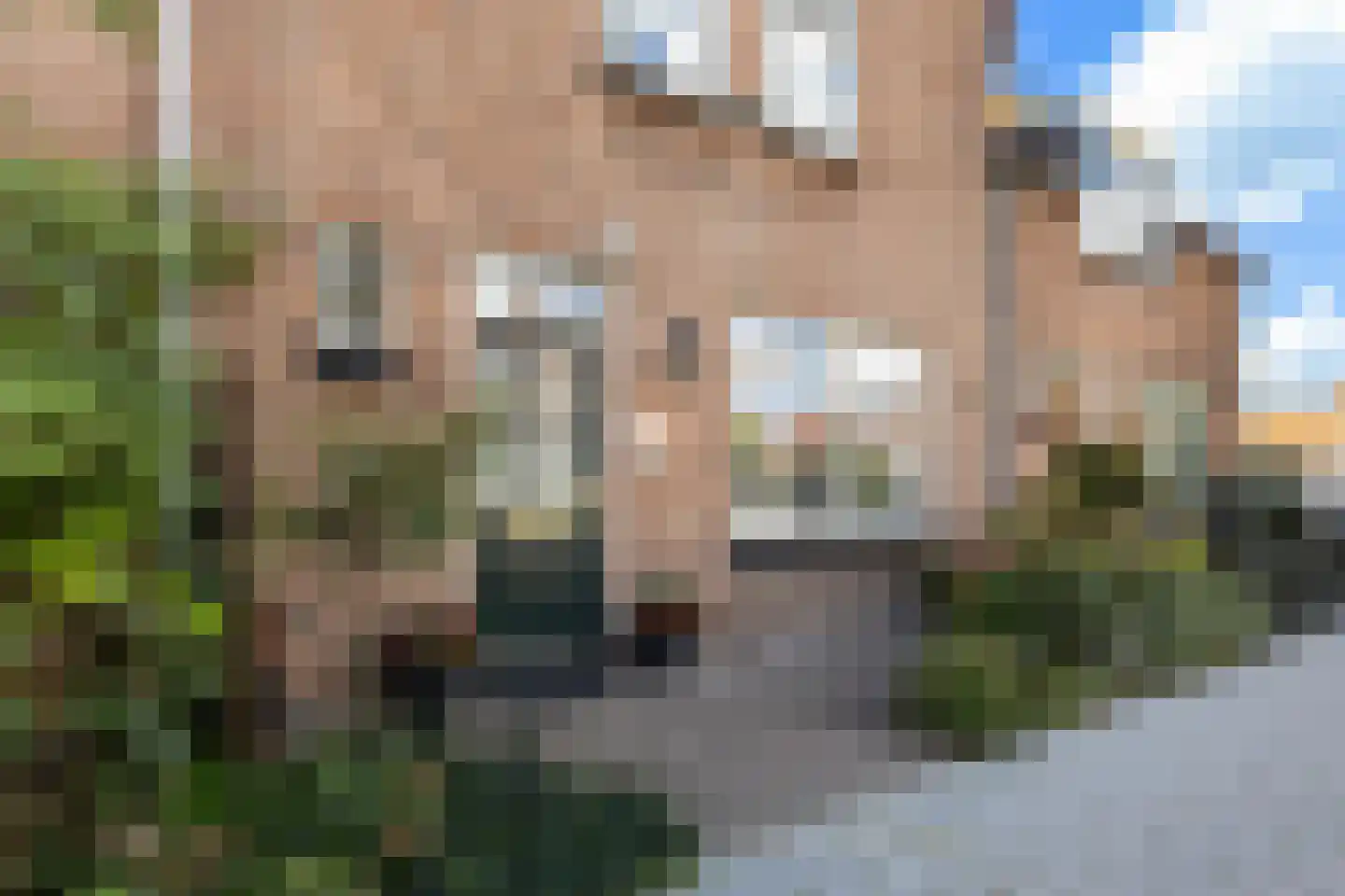 Tuinstraat 14 Krimpen aan den IJssel thumbnail 34