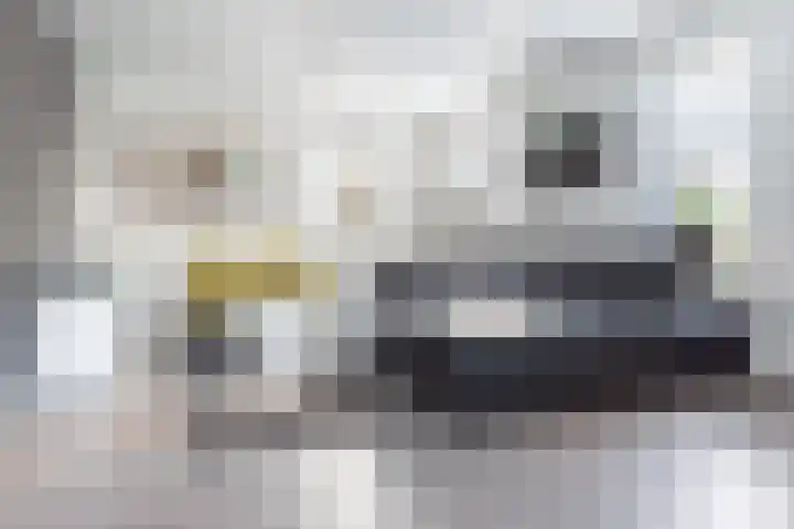 Tuinstraat 14 Terborg thumbnail 12
