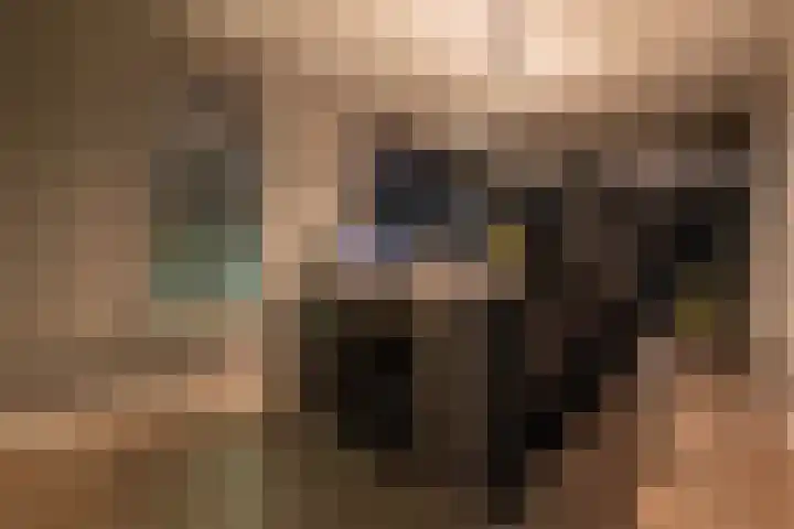 Tuinstraat 14 Terborg thumbnail 18
