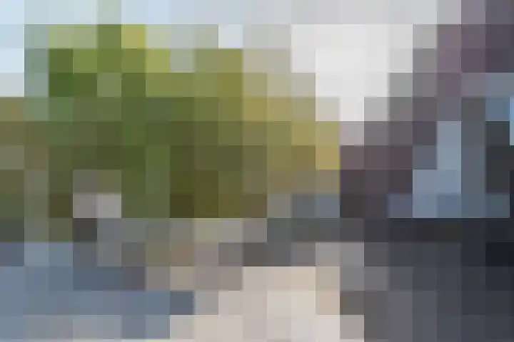 Tuinstraat 14 Terborg thumbnail 36
