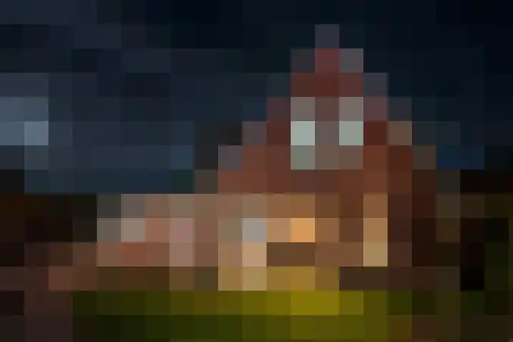Tuinstraat 14 Terborg thumbnail 4