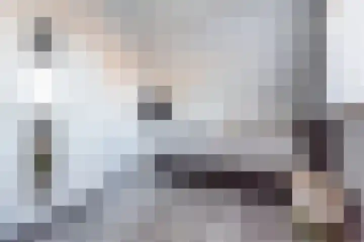 Tuinstraat 14 Terborg thumbnail 42