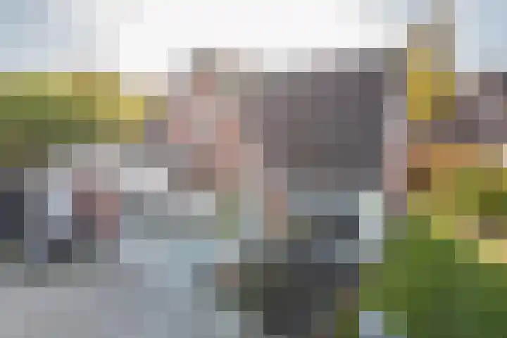Tuinstraat 14 Terborg thumbnail 48