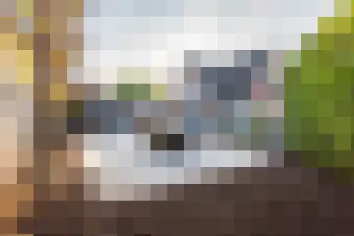 Tuinstraat 14 Terborg thumbnail 52