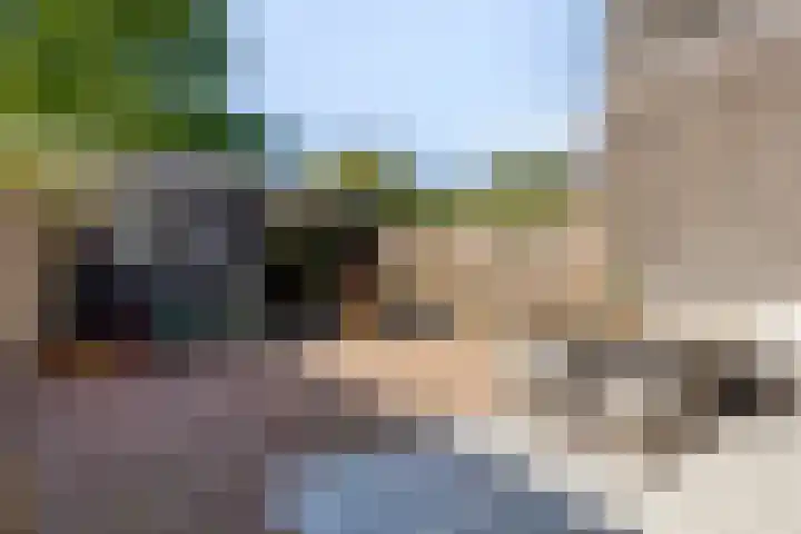 Tuinstraat 14 Zaandam thumbnail 12