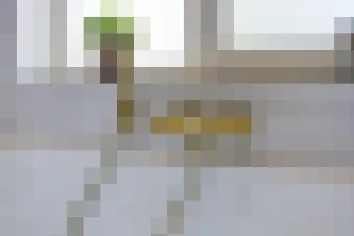 Tuinstraat 14 Zaandam thumbnail 21