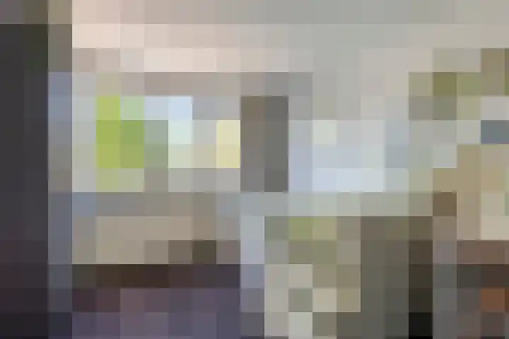 Tuinstraat 14 Zaandam thumbnail 24