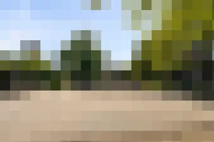 Tuinstraat 14 Zaandam thumbnail 31
