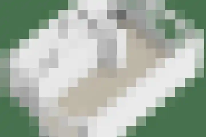 Tuinstraat 14 Zaandam thumbnail 37