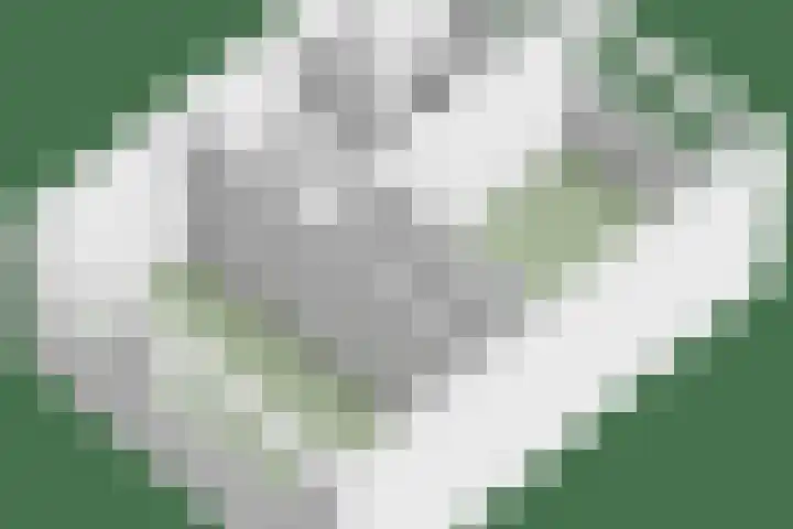 Tuinstraat 14 Zaandam thumbnail 38