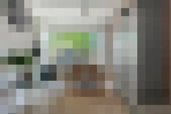 Tuinstraat 14 Zaandam thumbnail 5