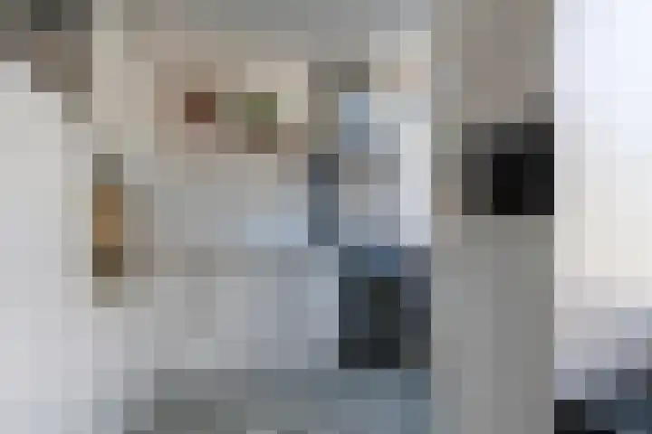 Tuinstraat 14 Zaandam thumbnail 8