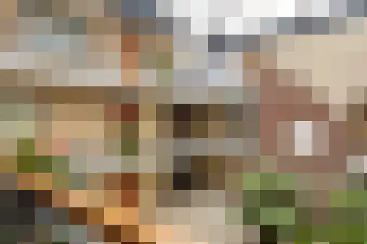 Tuinstraat 15 109 Holten thumbnail 24
