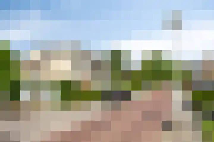 Tuinstraat 15 109 Holten thumbnail 27