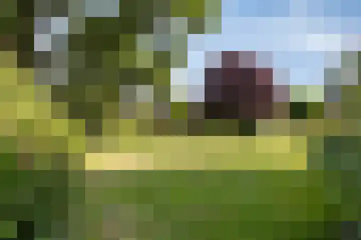 Tuinstraat 15 109 Holten thumbnail 31